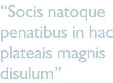 “Socis natoque penatibus in hac plateais magnis  disulum”